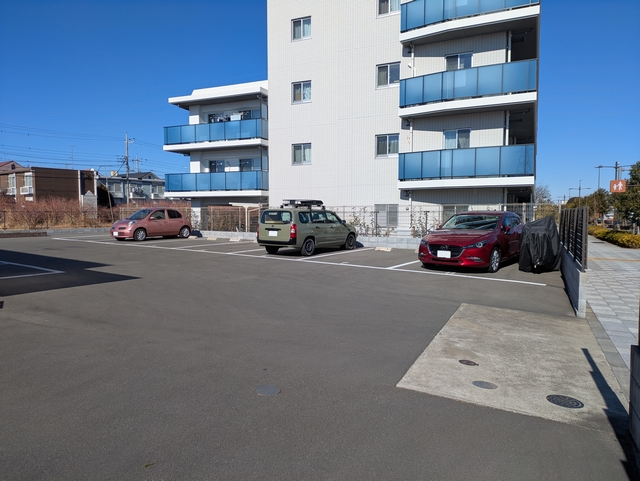 �n�C�c�N���[�o���ɒ��ԏ�